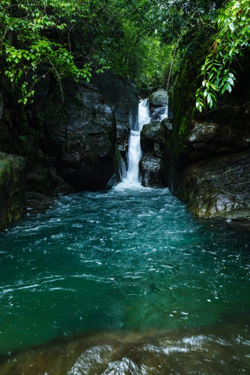 Free Pristine waterfall cascading into a clear turquoise pool surrounded by dense tropical foliage. Stock Photo