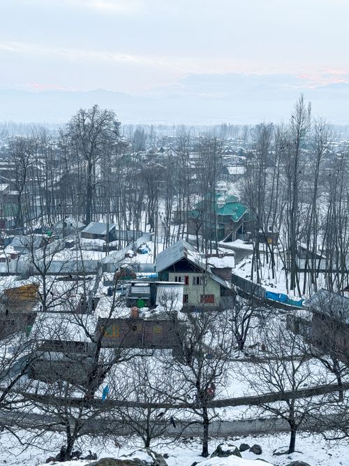 Free A serene snowy village in Tujar, showcasing a winter landscape with bare trees. Stock Photo