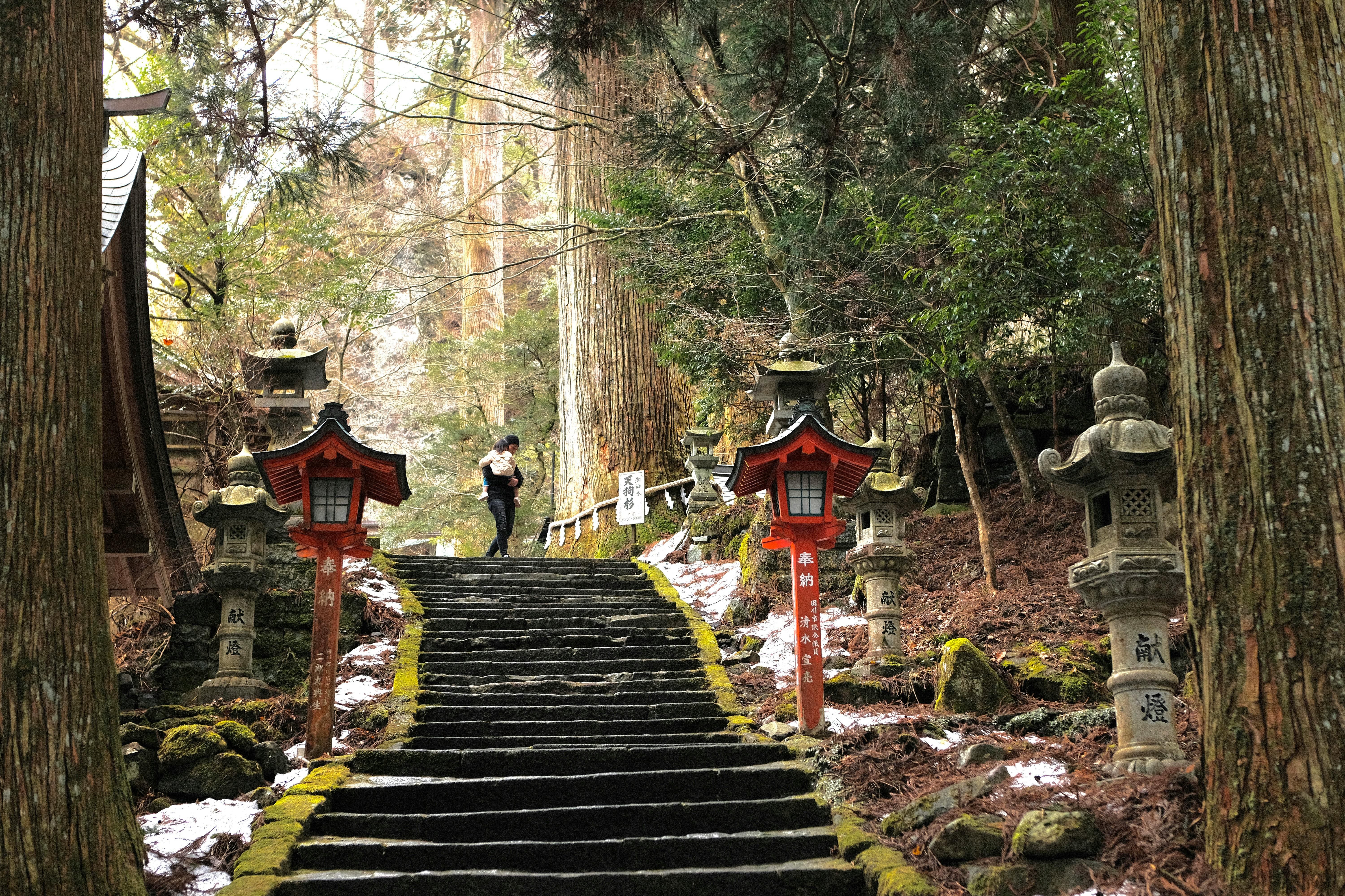 Ücretsiz Japonya'nın Fukuoka şehrinde, yemyeşil bir ormanın içinden geçen, kırmızı fenerlerle aydınlatılmış huzurlu bir taş patika, bir gezgin ve çocuğuyla birlikte ilerliyor. Stok Fotoğraflar