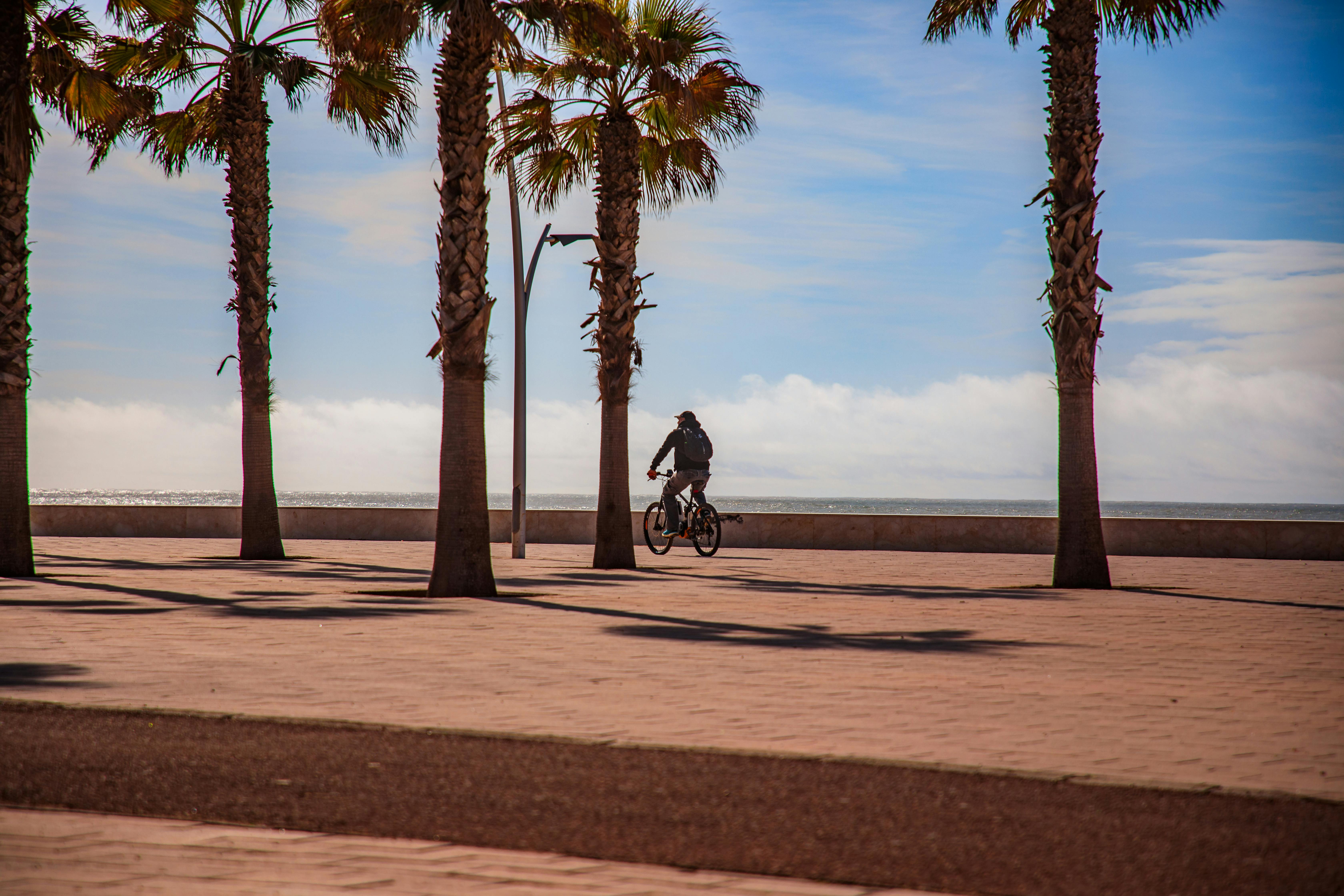 Ücretsiz Bir bisikletçi, Fas'ın palmiye ağaçlarıyla çevrili sahil şeridinde, masmavi bir gökyüzü altında güneşli bir sürüşün tadını çıkarıyor. Stok Fotoğraflar