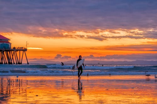 Pessoa Com Roupa De Mergulho Carregando Prancha De Surfe, Caminhando Na Praia