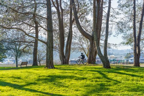 Free Cyclist enjoying a sunny day in a lush green park surrounded by trees. Stock Photo