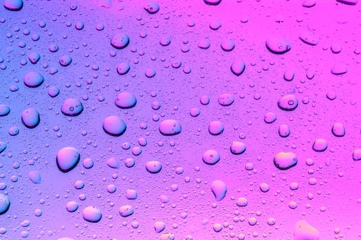Close-up of water droplets on a purple and pink surface, creating a vibrant abstract background.