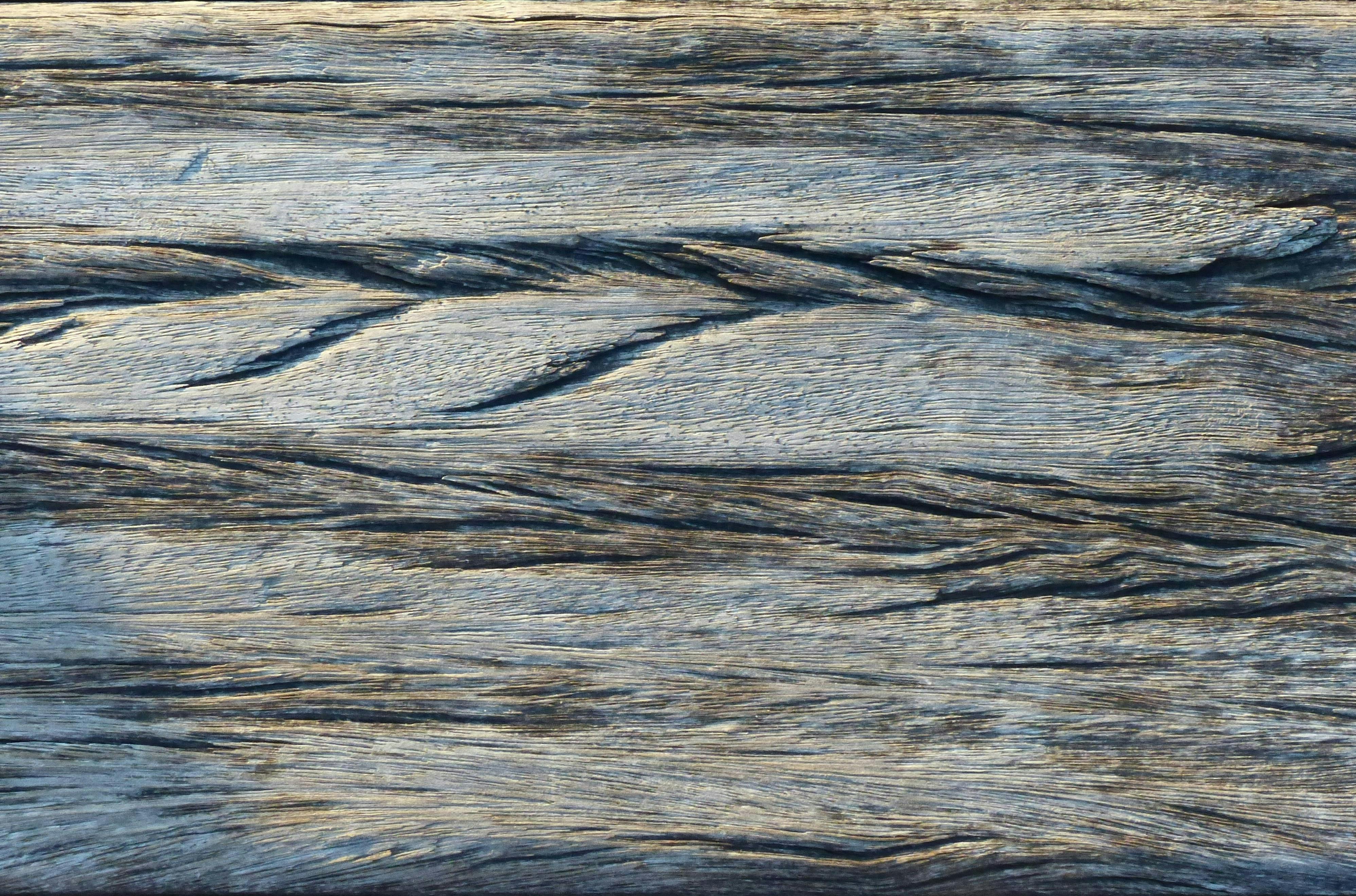 Gratuit Texture détaillée d'une surface en bois patinée, présentant des motifs de grain complexes. Photos