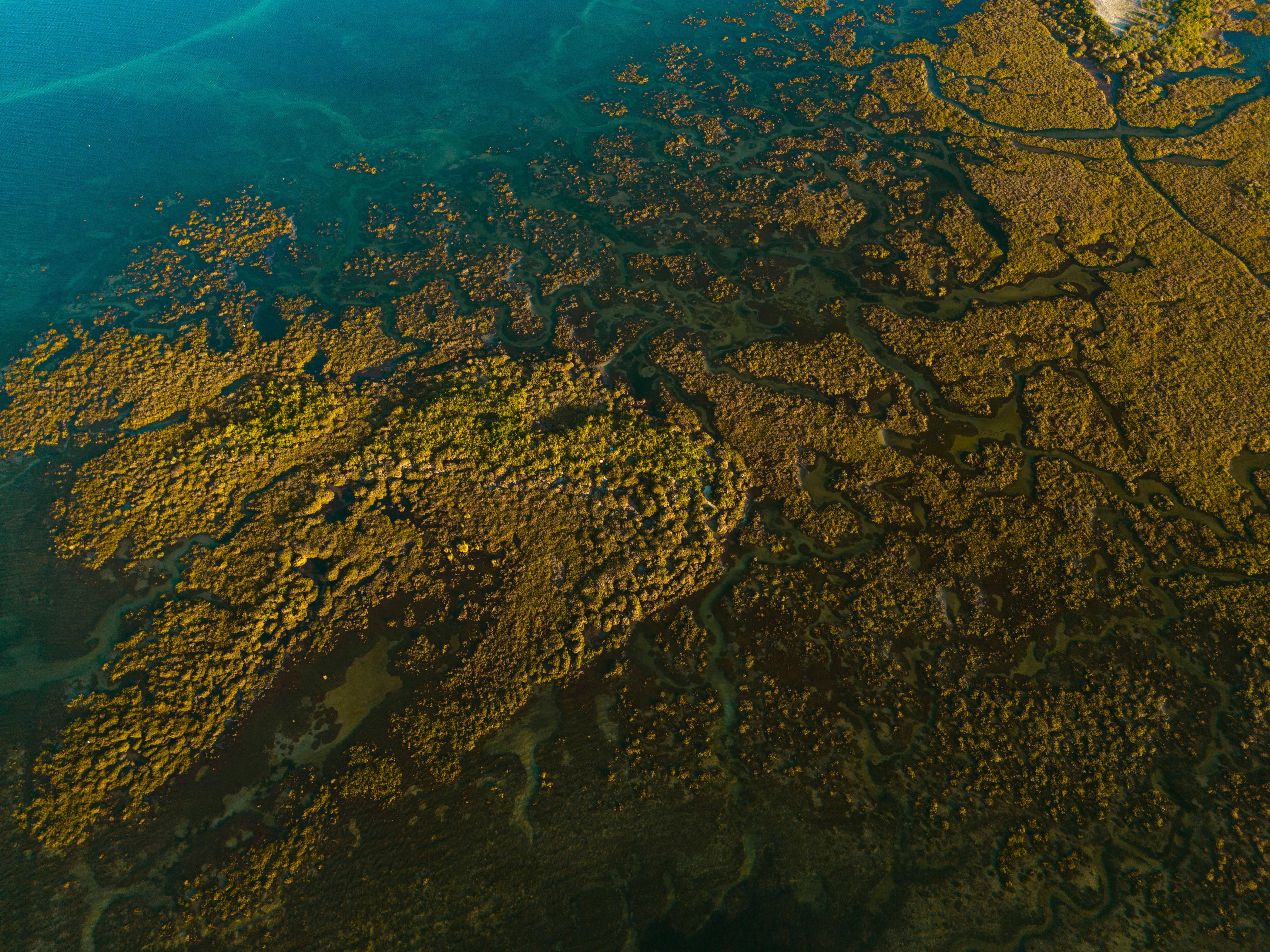 The Bay That Was a River: How Chesapeake's Unusual Geology Shaped Everything From Colonial Ports to Disappearing Islands