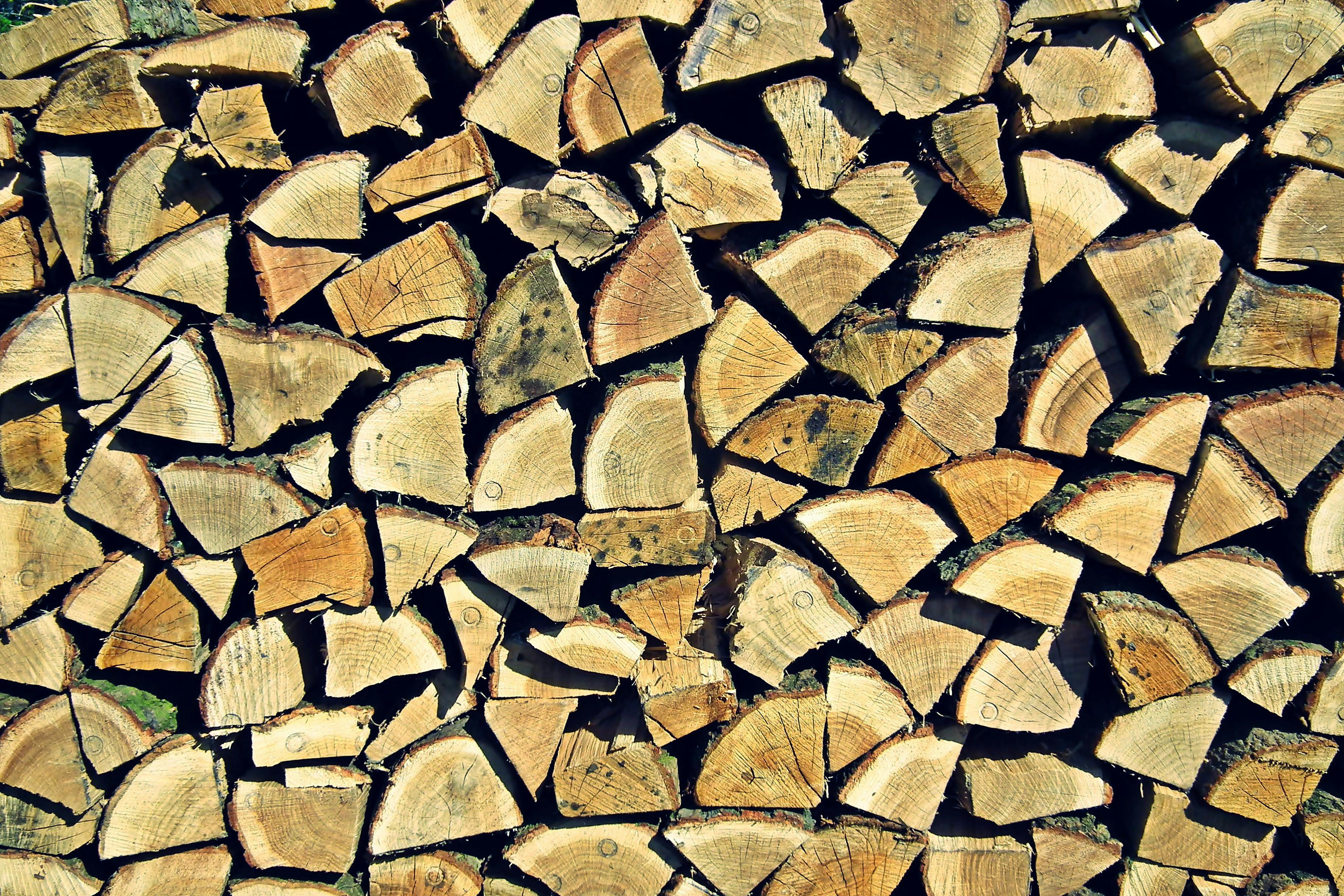 Безкоштовне Крупний план акуратно складених нарізаних дров, що демонструють природні візерунки та текстури на відкритому повітрі. стокове фото