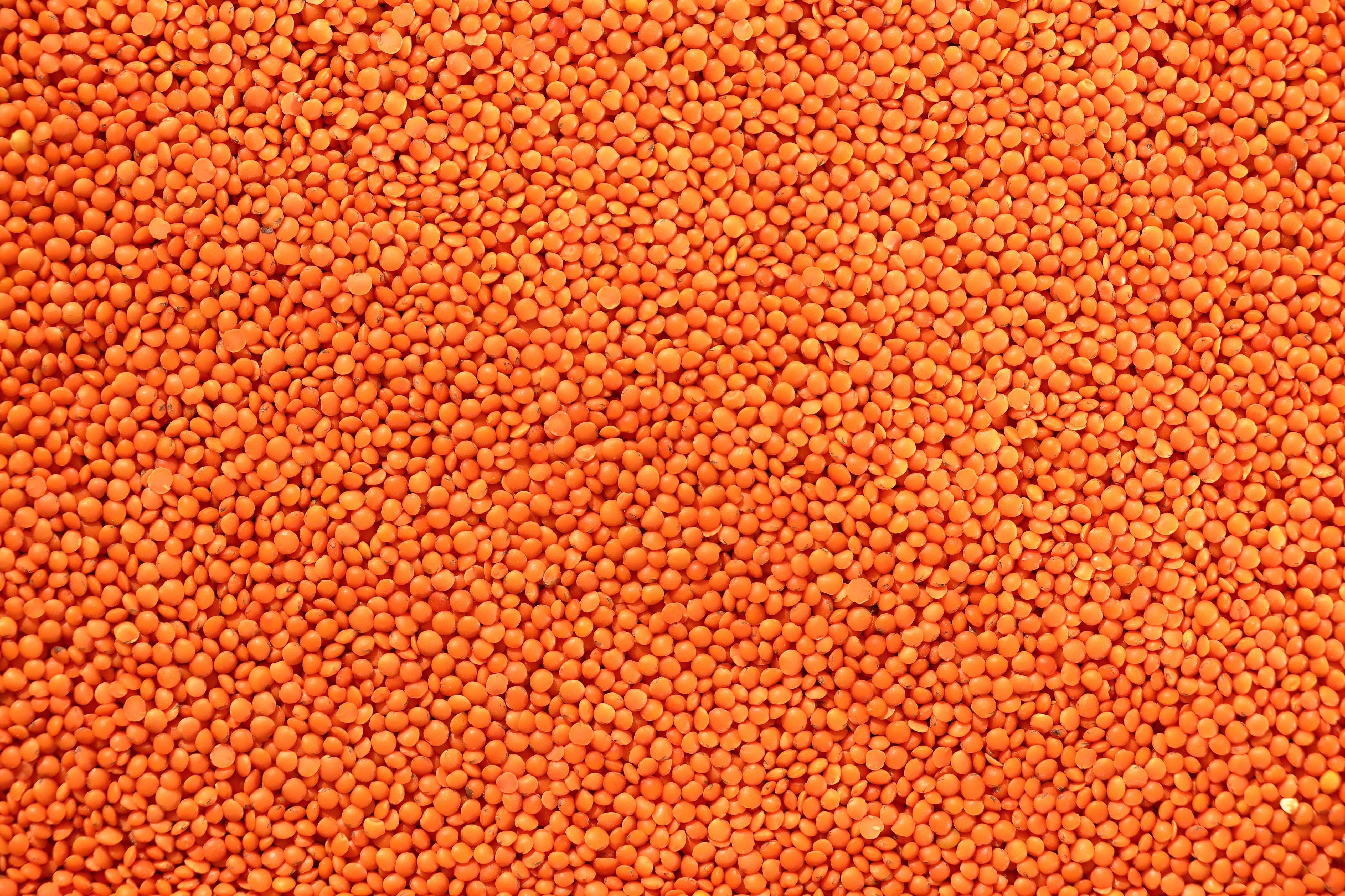 Practical Strategies for Incorporating High-Protein Recipes
