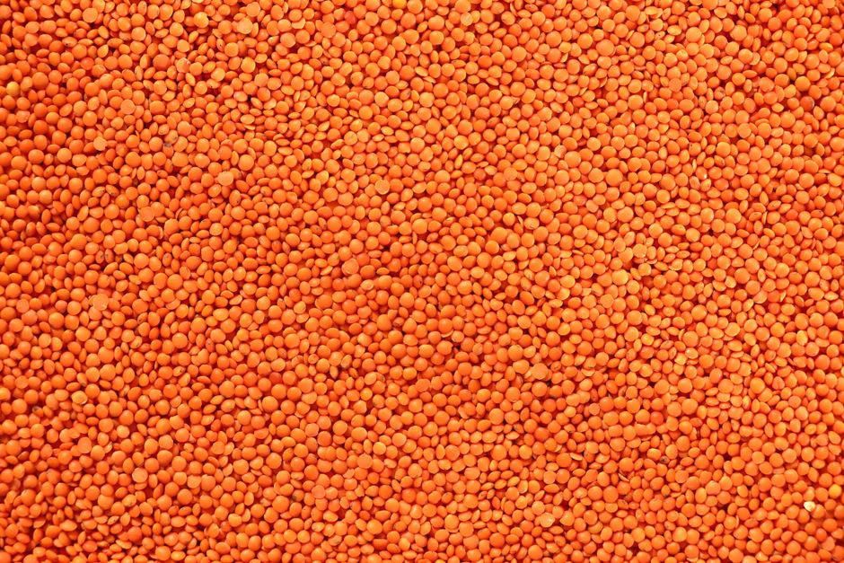 Affordable protein staples like lentils, eggs, and tofu - veg protein diet for weight loss Affordable protein staples like lentils, eggs, and tofu - veg protein diet for weight loss