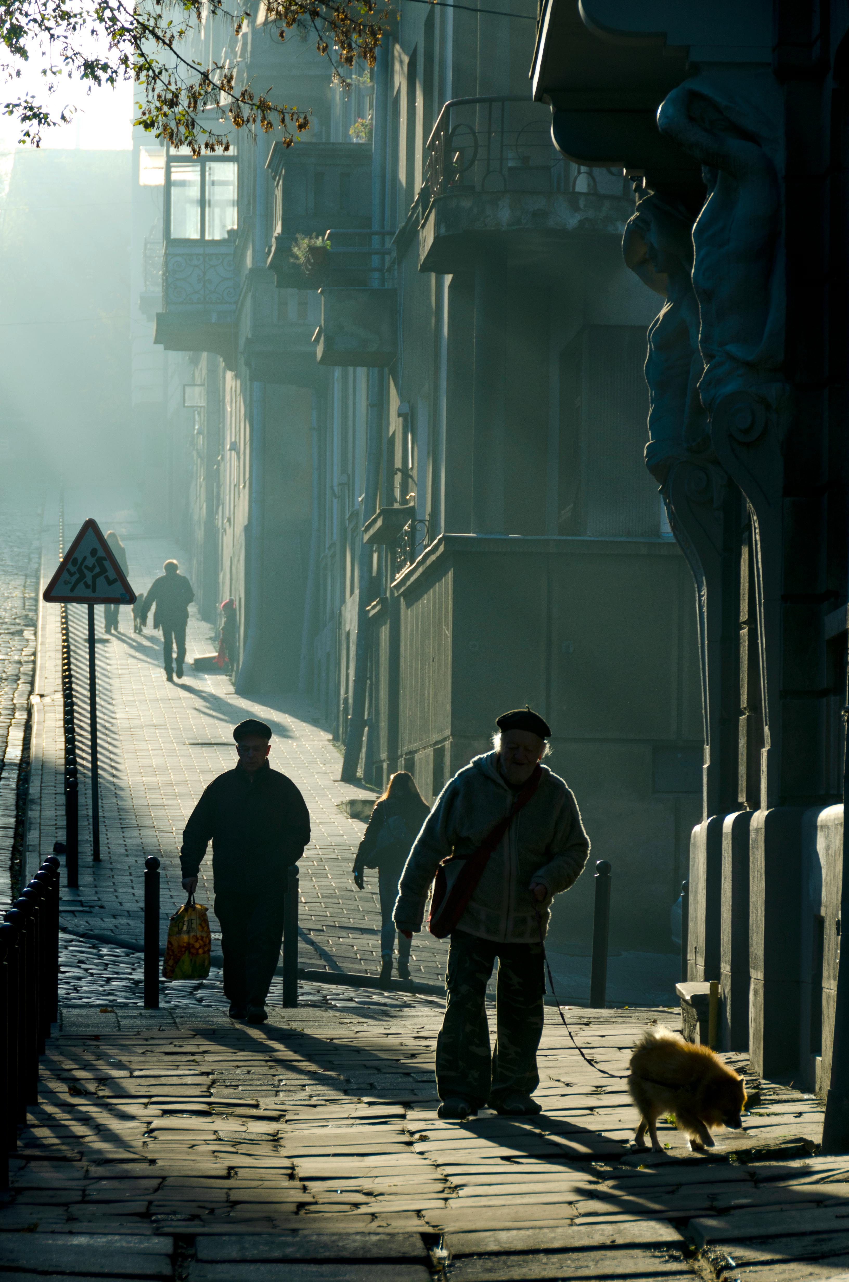 Ücretsiz Ukrayna'nın Lviv şehrinde, yumuşak güneş ışığında insanların ve bir köpeğin silüetlerinin yer aldığı, pitoresk bir sabah sokak manzarası. Stok Fotoğraflar