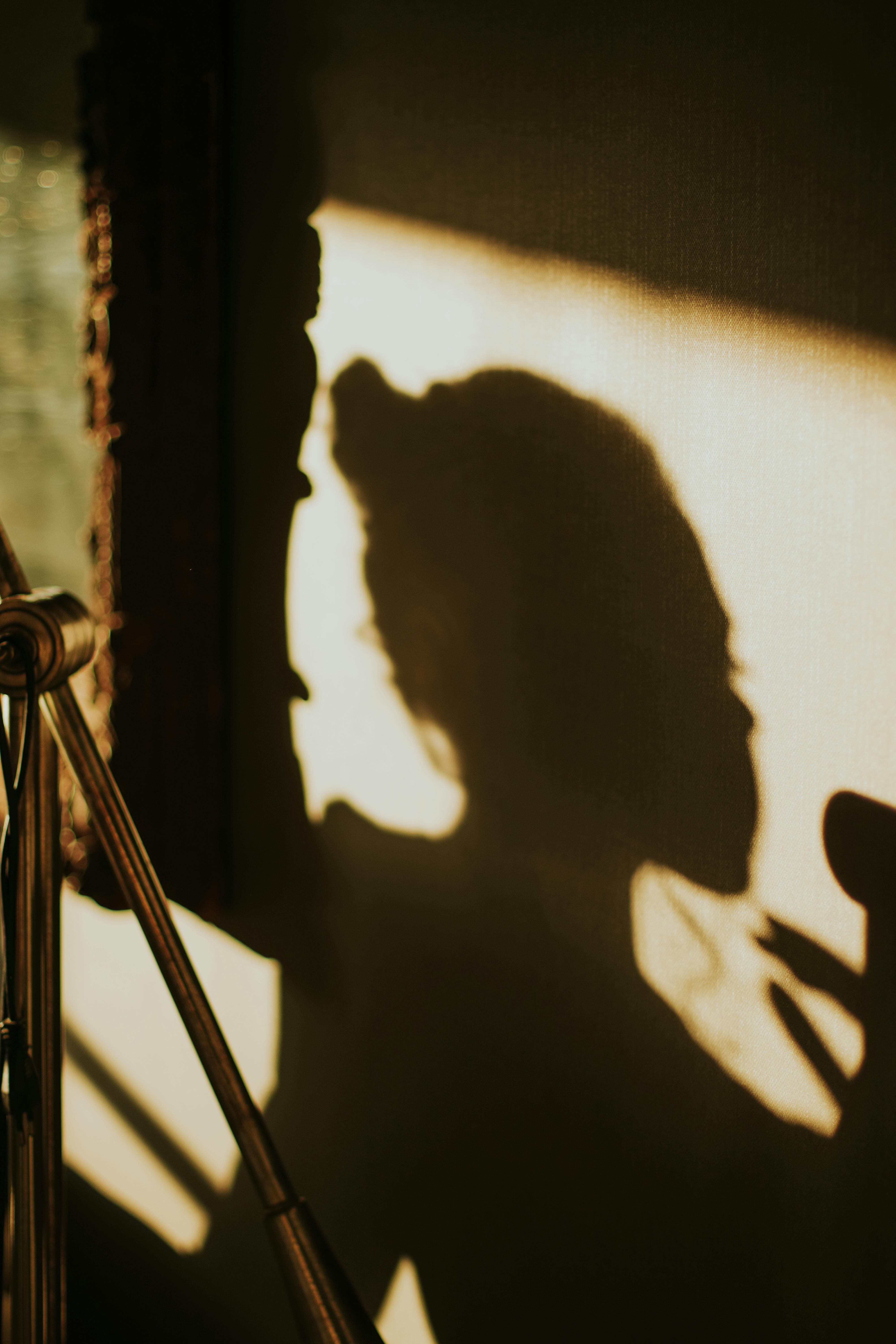 grátis Foto profissional grátis de #interior, aquecido, arte de sombra Foto profissional