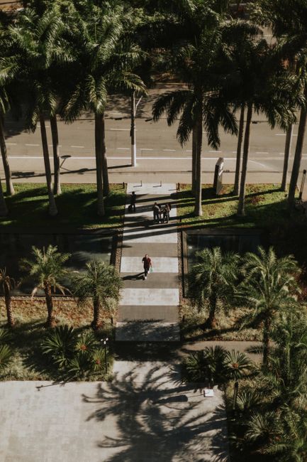 Aerial shot of a tree-lined pathway in São Paulo with people walking, casting long shadows.
