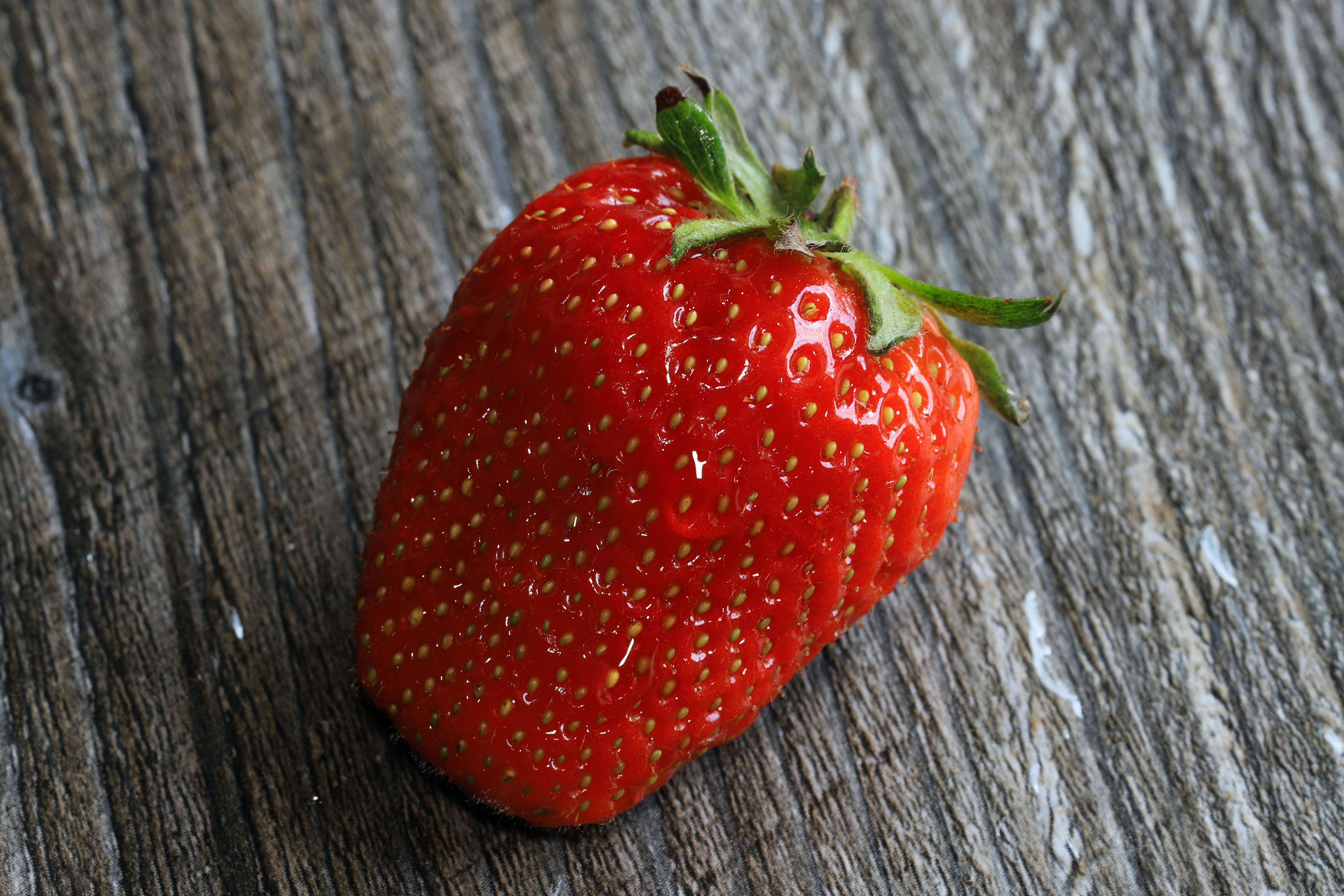 Gaussian Splat of a Strawberry