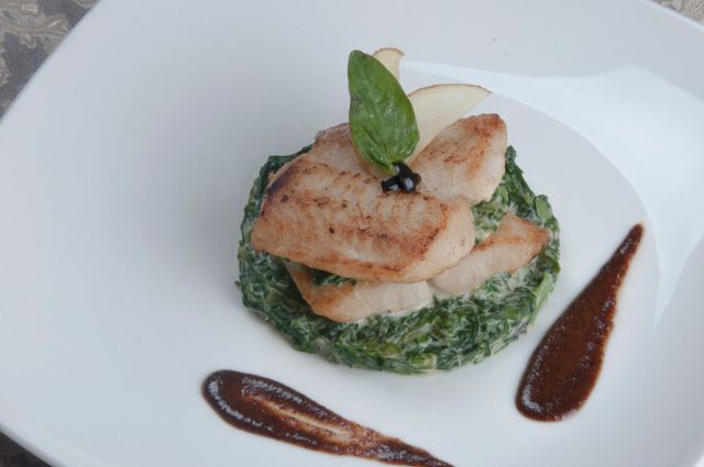 Delicious gourmet fish served on a bed of creamy spinach and artfully drizzled sauce.