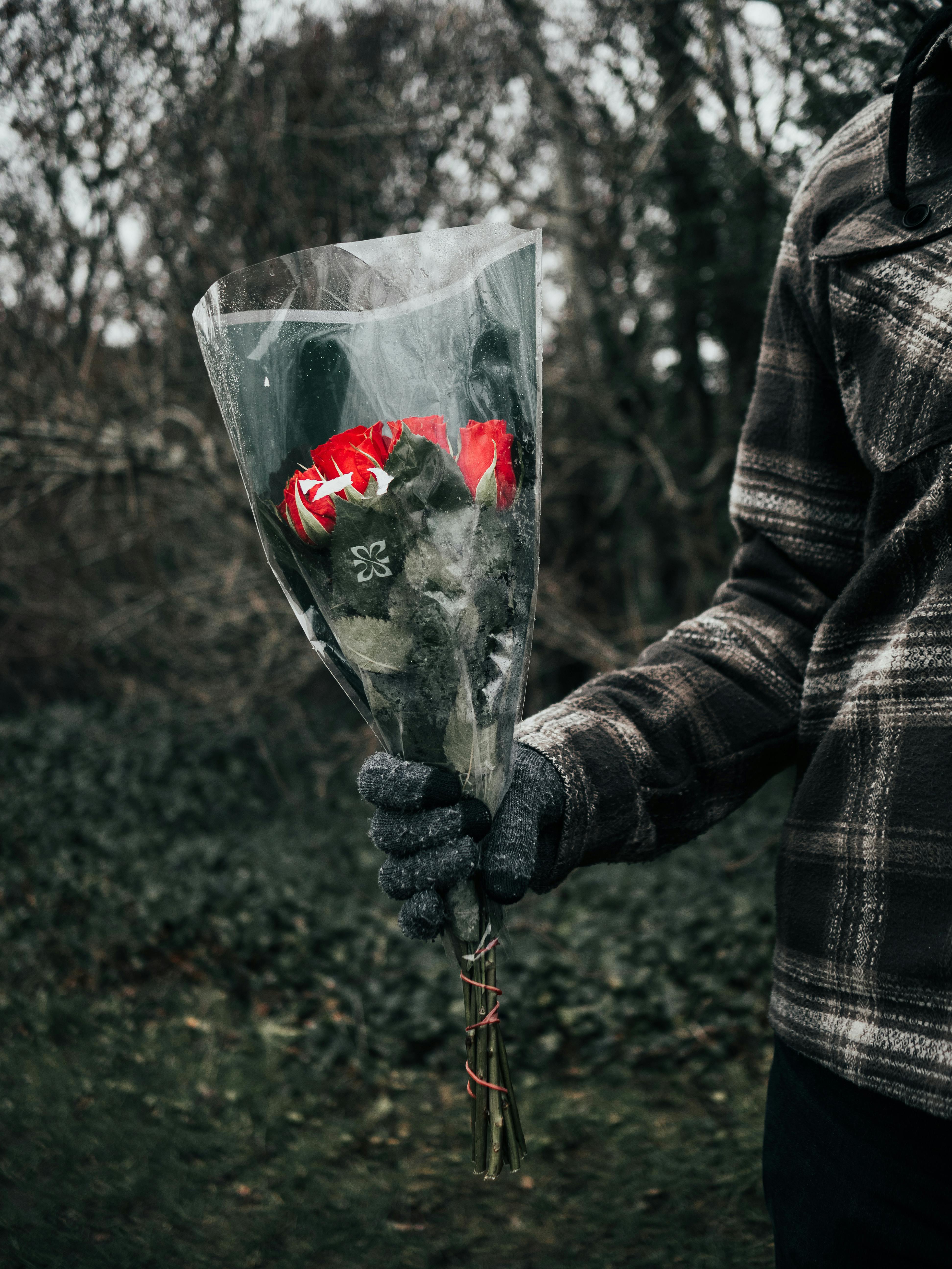 Ücretsiz açık hava, adam, armağan içeren Ücretsiz stok fotoğraf Stok Fotoğraflar