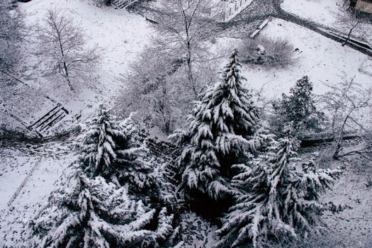 Aerial view of a serene winter landscape with snow-covered trees and paths.