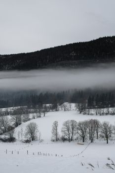 Serene winter scene in the Vercors, France featuring snow-covered fields and misty forests.