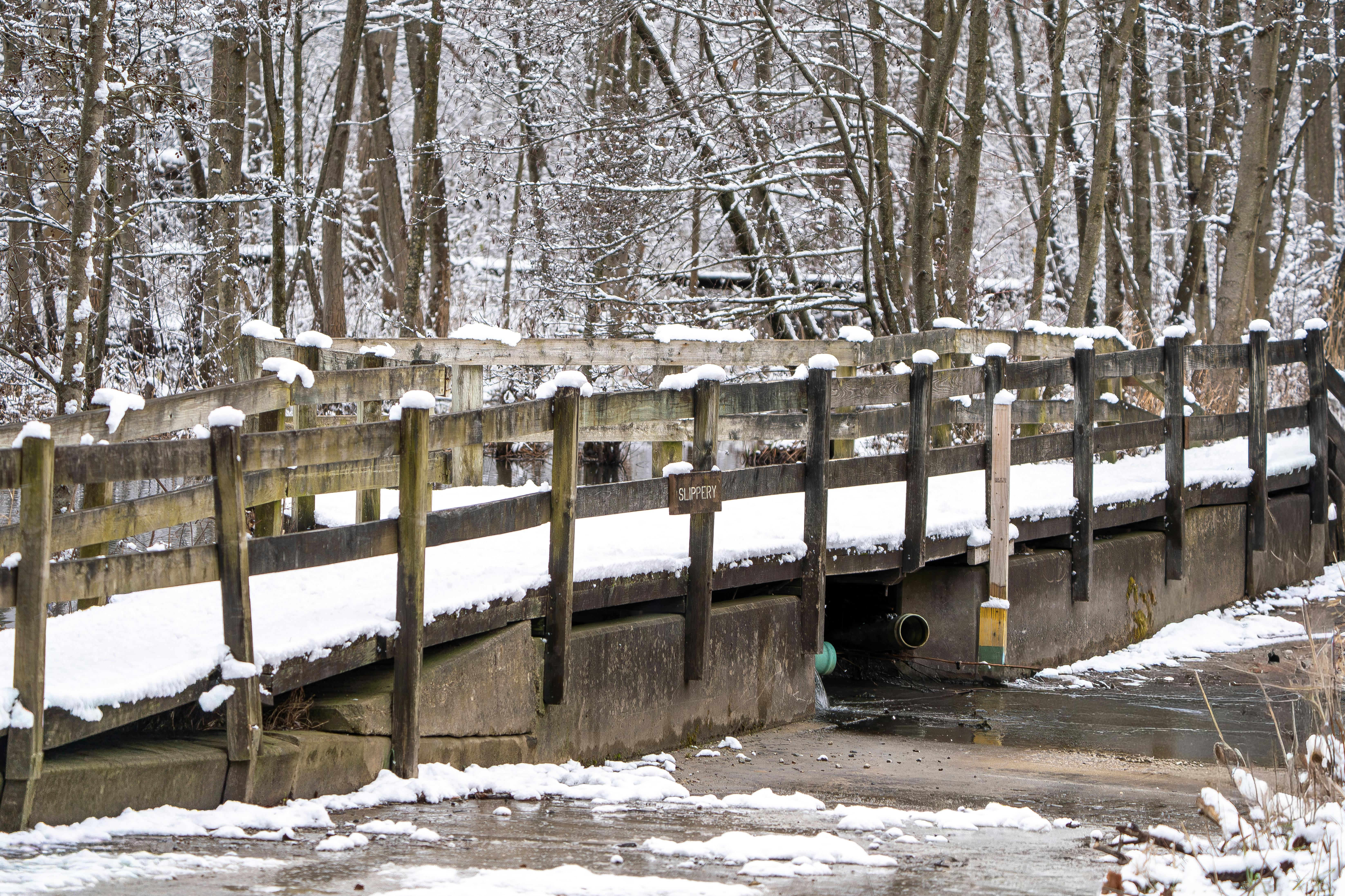 DuPage Forest Preserve executive director leaving for city manager job in Florida — Photo by Glenda  Thompson on Pexels