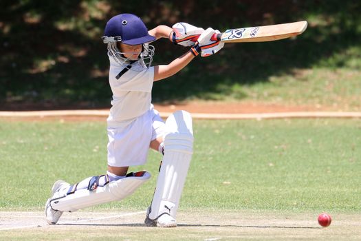 Boy in Full Cricket Gear 