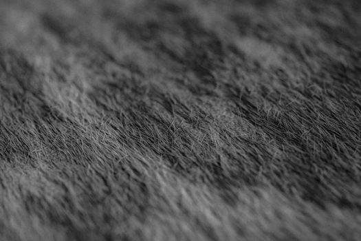 Detailed black and white close-up of animal fur texture, showcasing intricate patterns.
