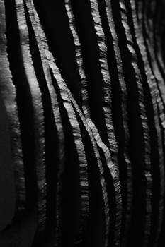 Intricate close-up of a textured surface in black and white with natural light effect.