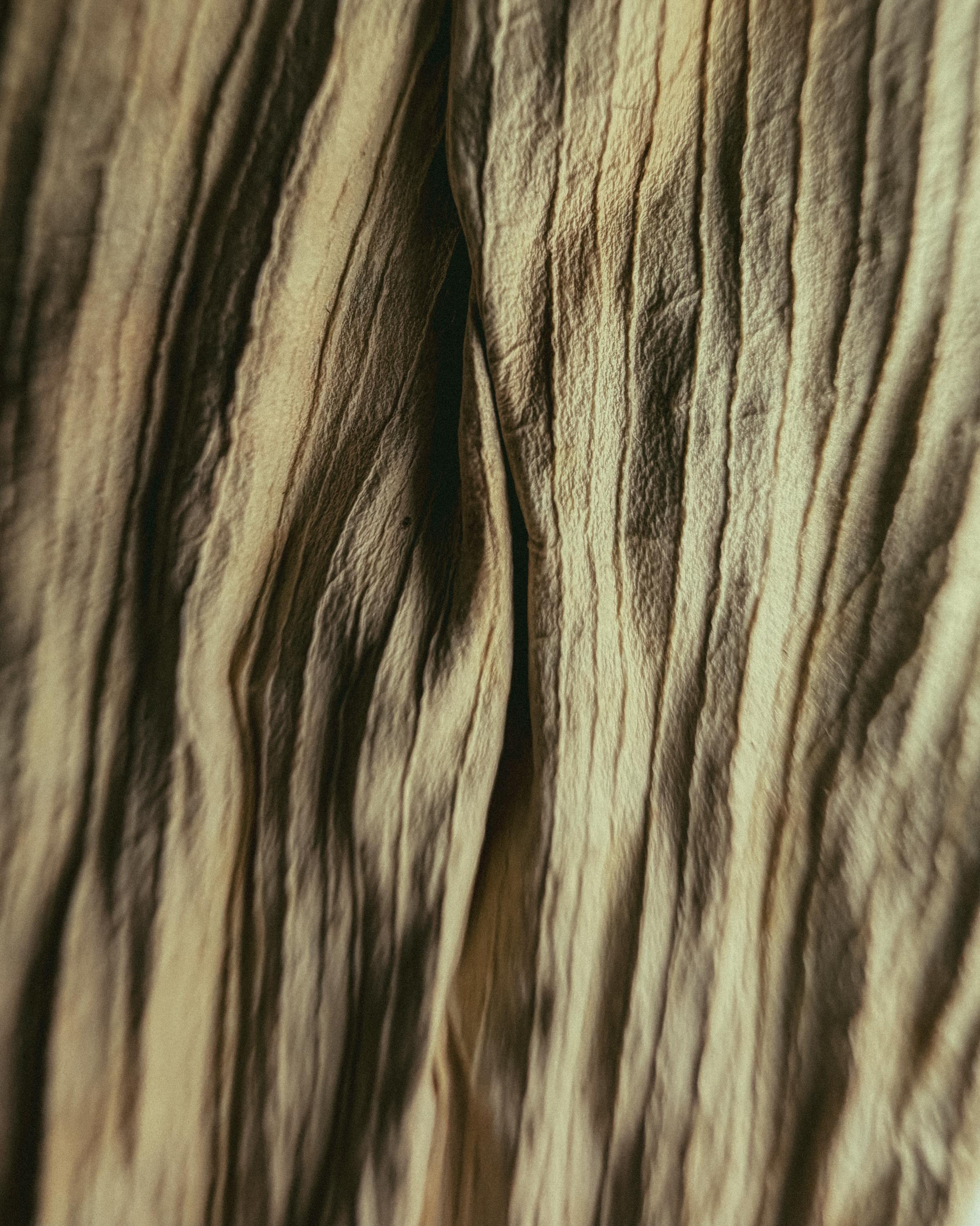 Kostnadsfria Detaljerad närbild av trädbark som visar naturlig textur och jordnära toner. Stock foto