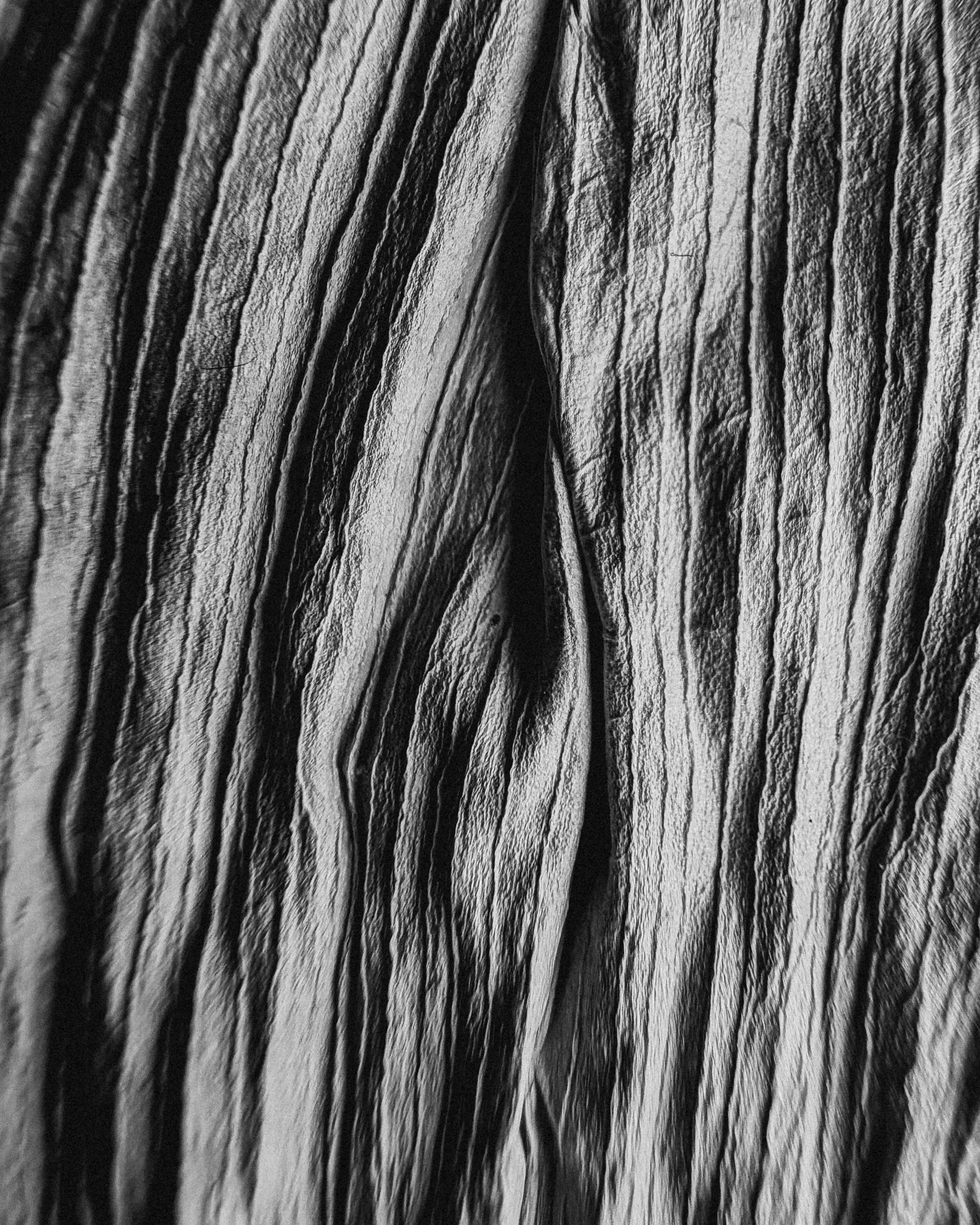 bezplatná Černobílý abstraktní detail texturovaného povrchu s přirozenými vráskami. Základová fotografie