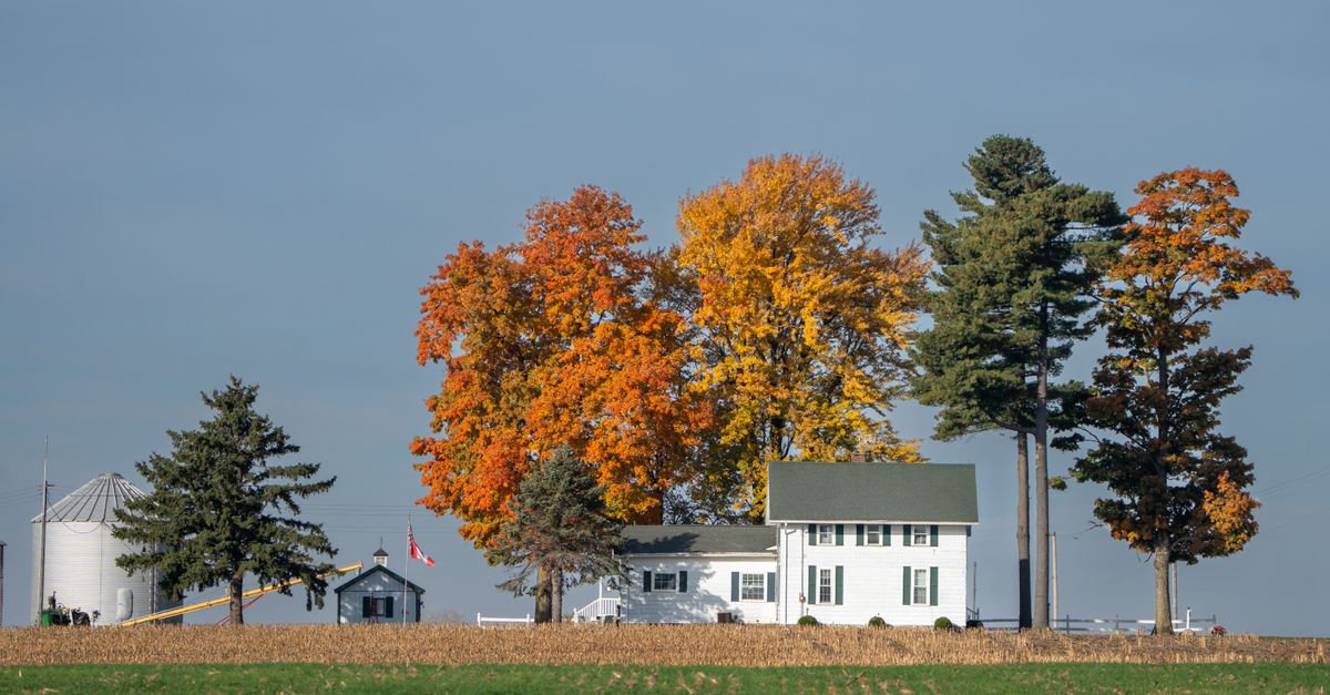 A picturesque farmhouse in Indiana surrounded by vibrant autumn foliage under a clear blue sky.