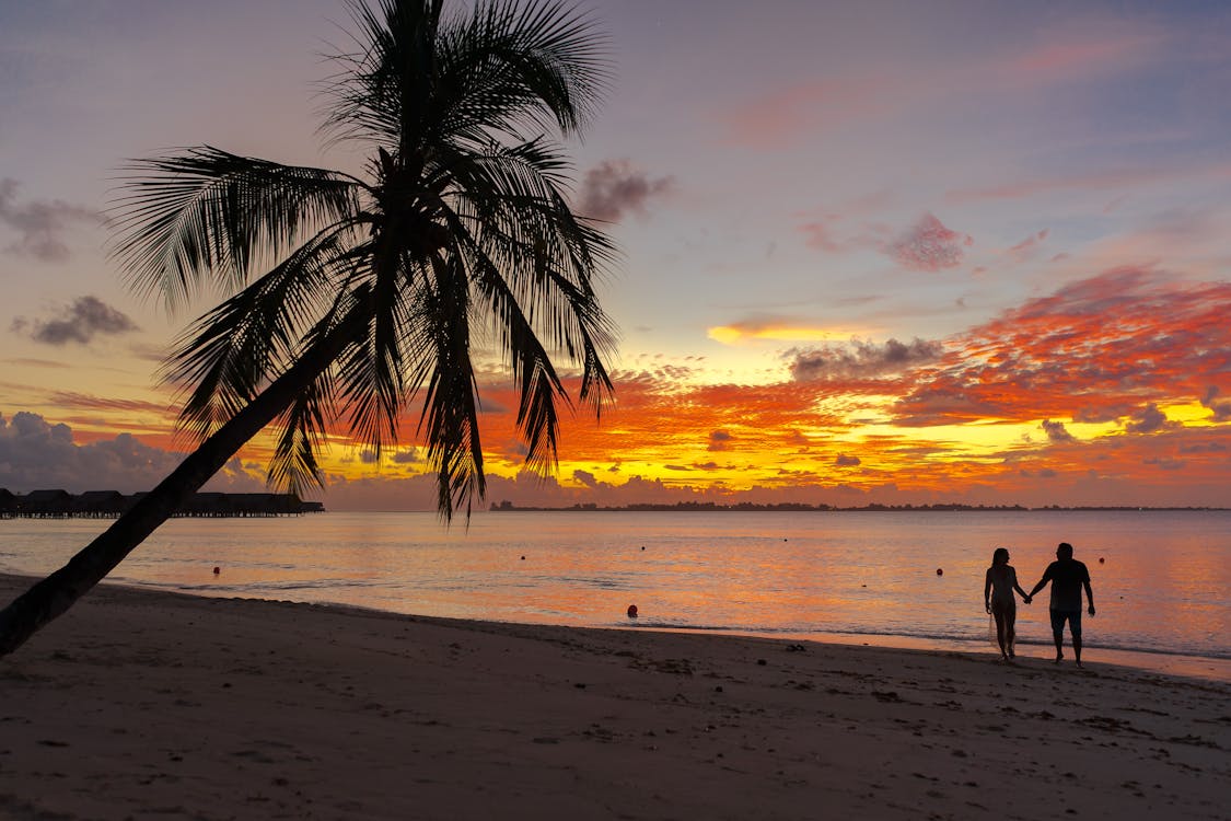 Free Silhouette of Couple Walking on Beach during Sunset Stock Photo