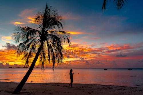 無料 日没時にビーチに立っている女性のシルエット 写真素材