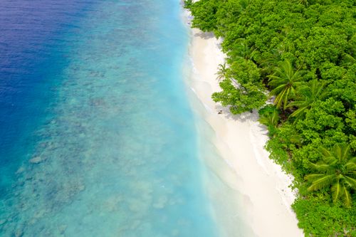 Free Stunning aerial view of a vibrant tropical beach and lush green forest. Stock Photo