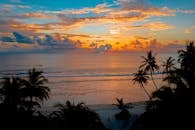 在宁静的海面上，欣赏棕榈树剪影映衬下令人惊叹的热带日落