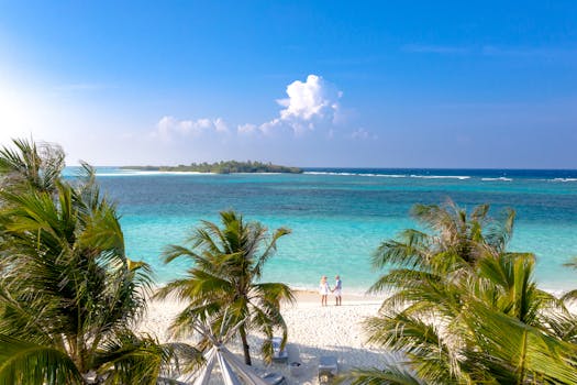 在碧绿海水的原始热带海滩上，鸟瞰一对夫妇