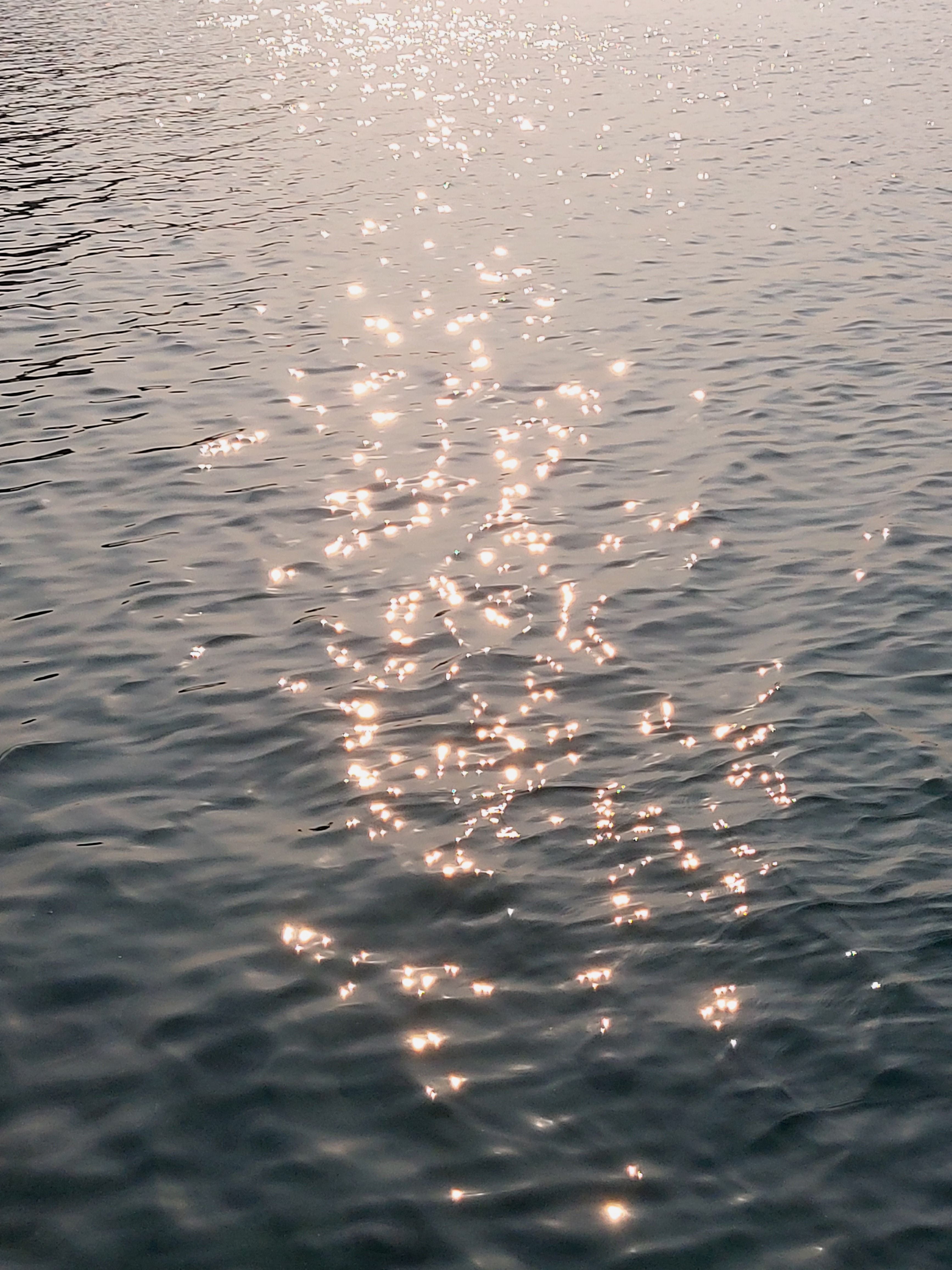 Sunlight Sparkles on Calm Water Surface · Free Stock Photo