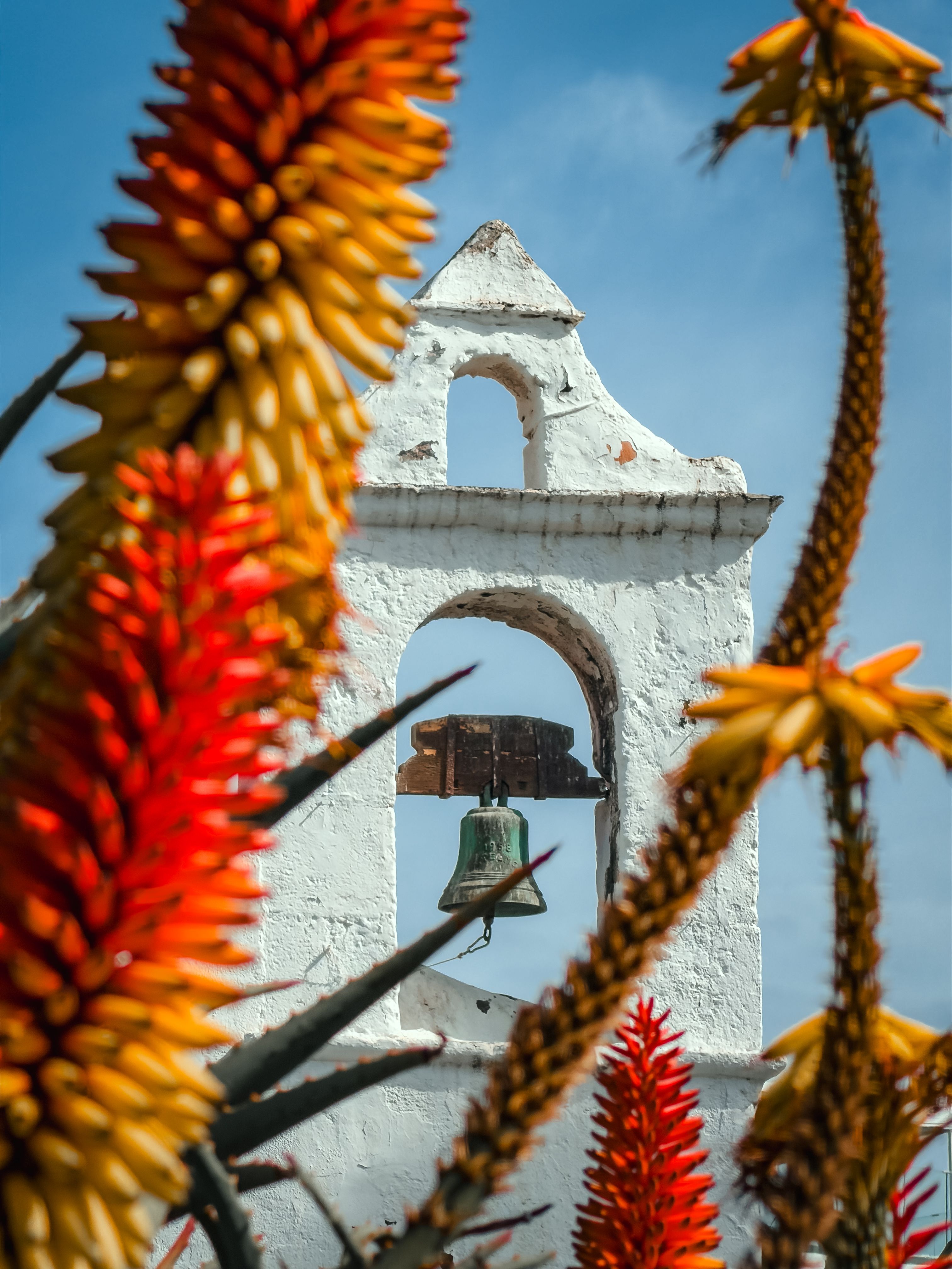 A picturesque bell tower framed by striking aloes in Puerto de la Cruz, Canary Islands.