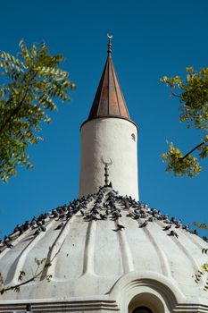Pigeons resting on an Ottoman-style mosque dome in Medina, Saudi Arabia under clear blue skies.