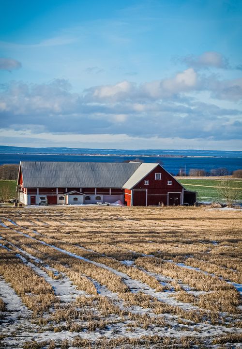 Free Scenic farm in Jonkoping County, Sweden, captured during winter showcasing its serene beauty. Stock Photo
