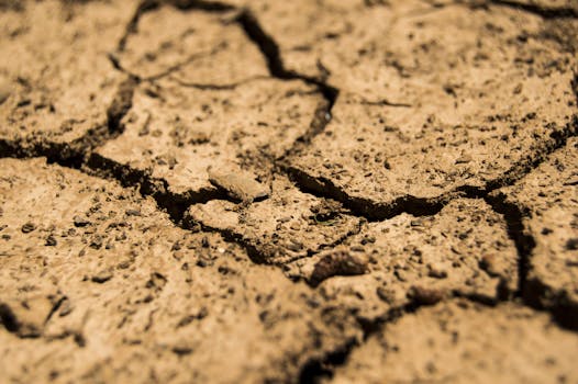 Free stock photo of earth, dry, brown, soil