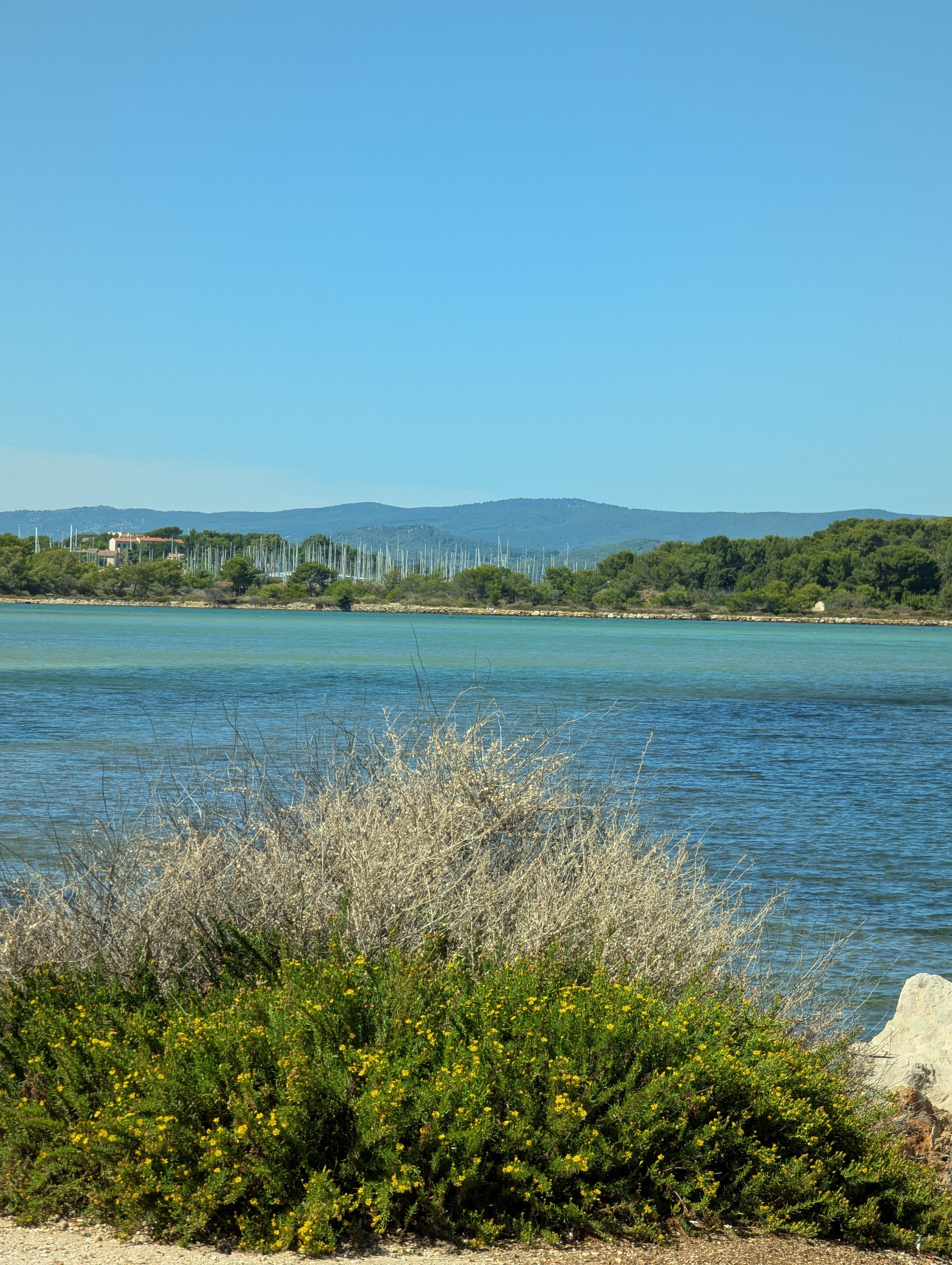 Scenic Coastal Landscape with Blue Sky and Mountains · Free Stock Photo