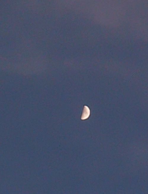 Free stock photo of 4k nature, moon Stock Photo