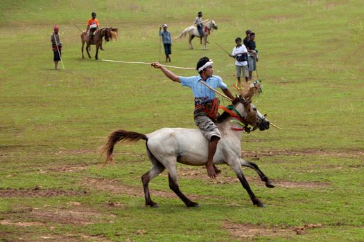 A traditional horseman performs in a lively outdoor setting.