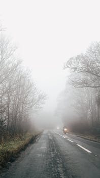 A motorcyclist rides down a foggy road lined with bare trees in London, England.