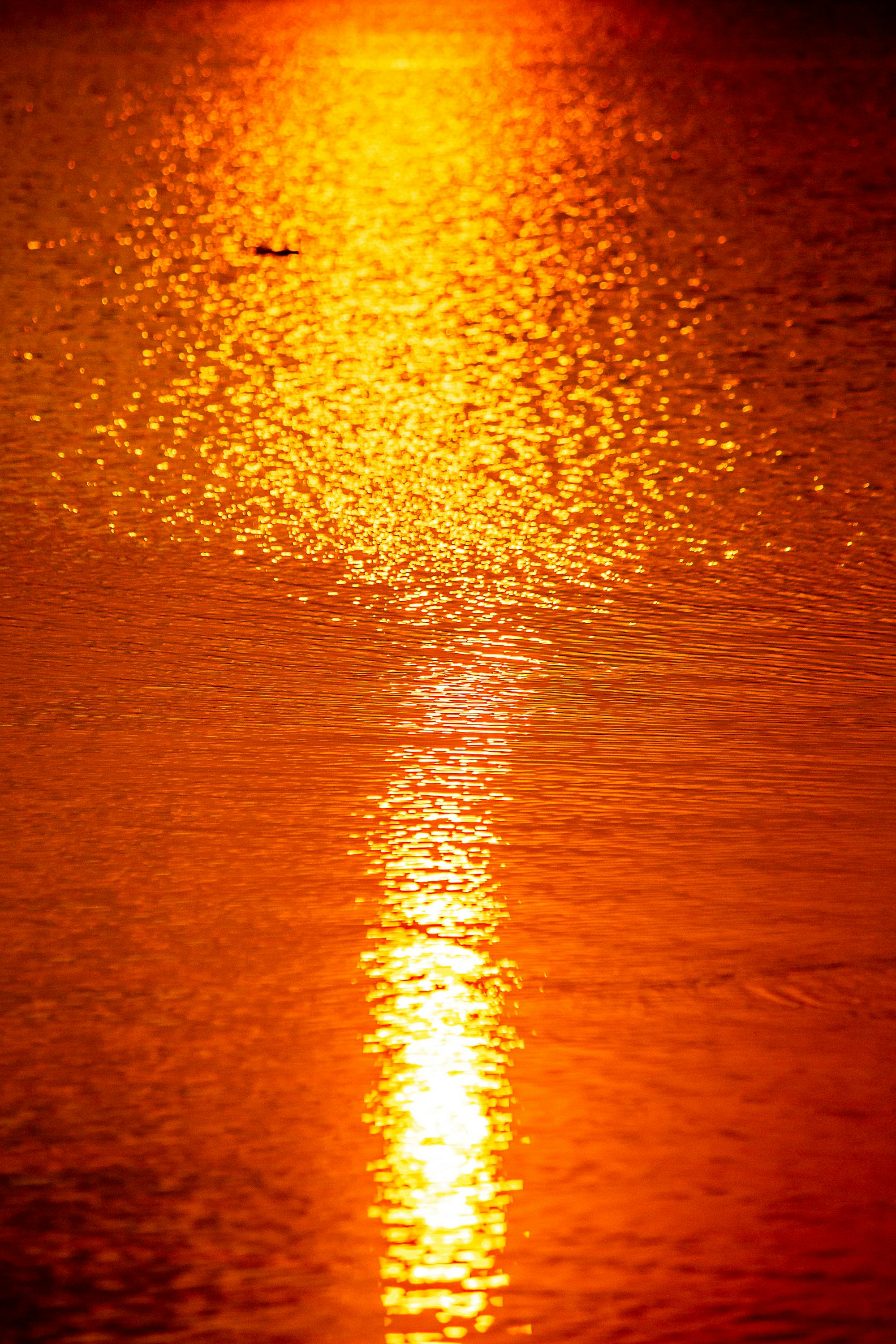 Ücretsiz @dış mekan, açık hava, akşam içeren Ücretsiz stok fotoğraf Stok Fotoğraflar