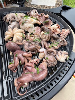 Fresh octopus grilling on outdoor barbecue, seasoned with herbs.