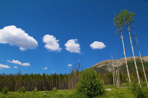 Бесплатное стоковое фото с голубые небеса, гора, облака
