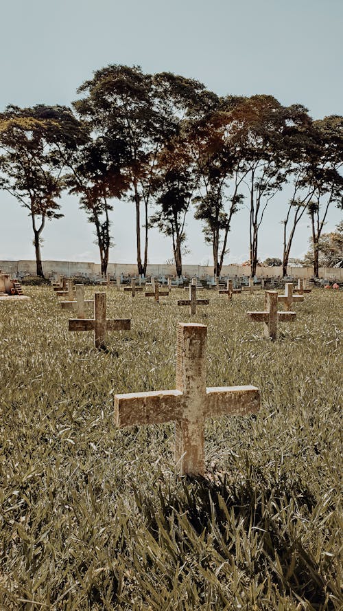 Kostenlos Blick Auf Einen Friedhof Stock-Foto