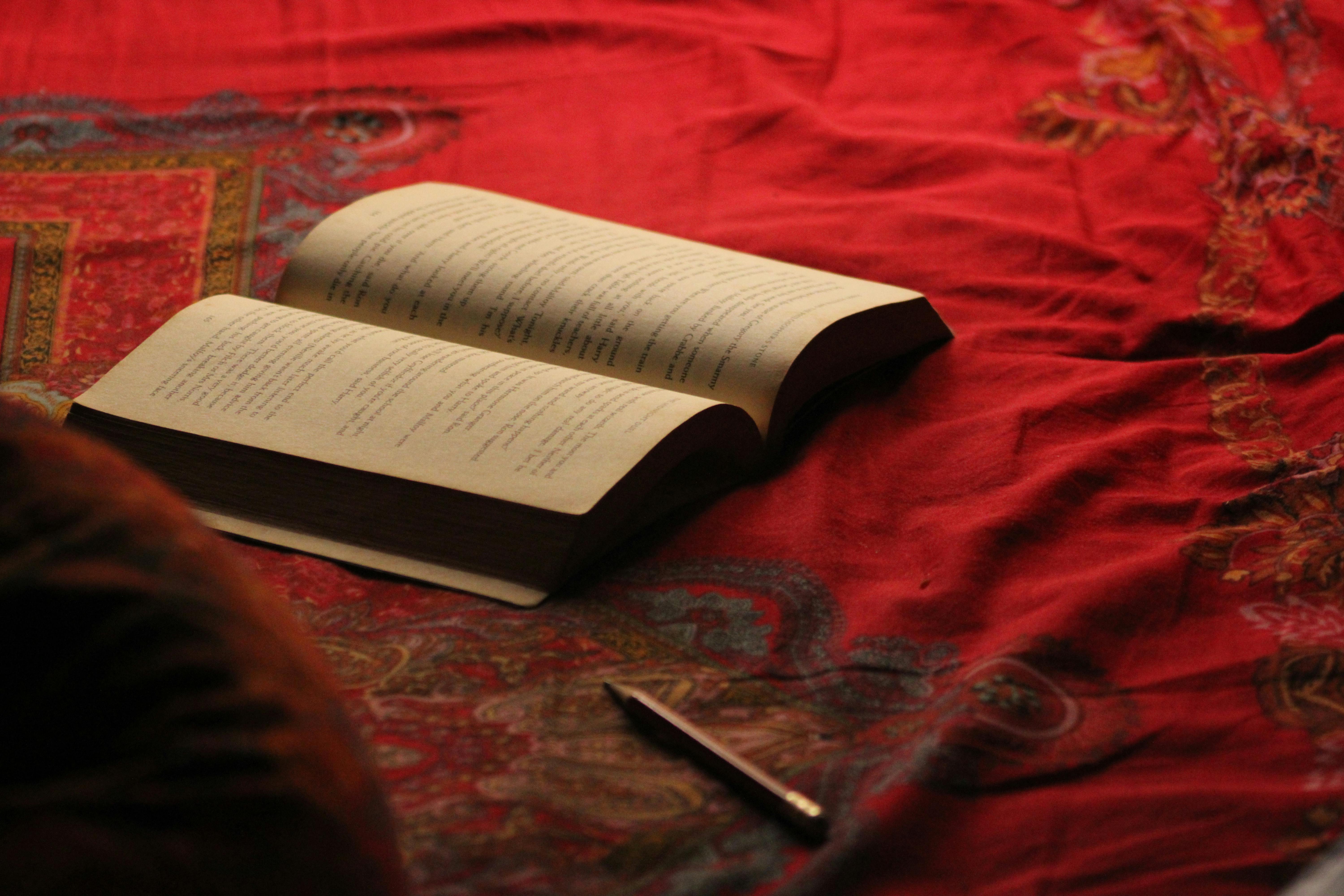 quiet study corner cozy home lifestyle photo 2
