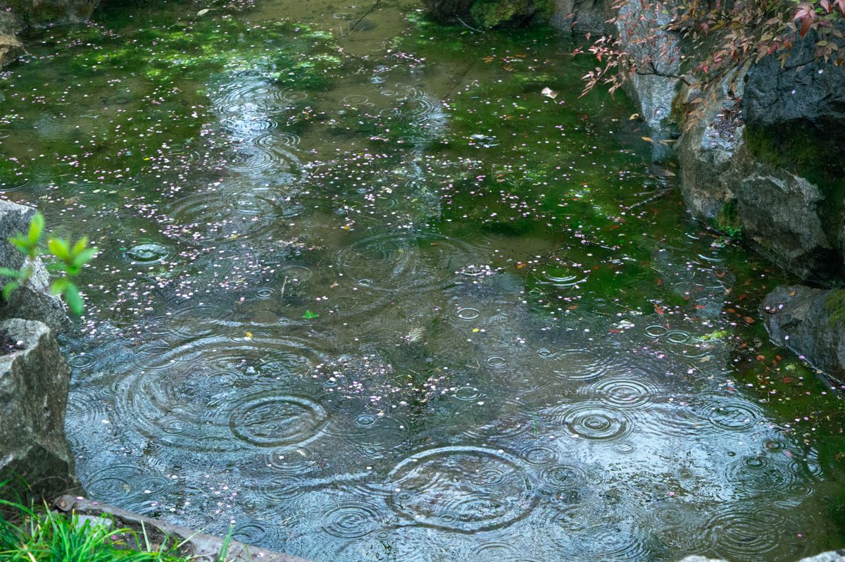 Okayama Castle black walls reflected in the river in Okayama Japan