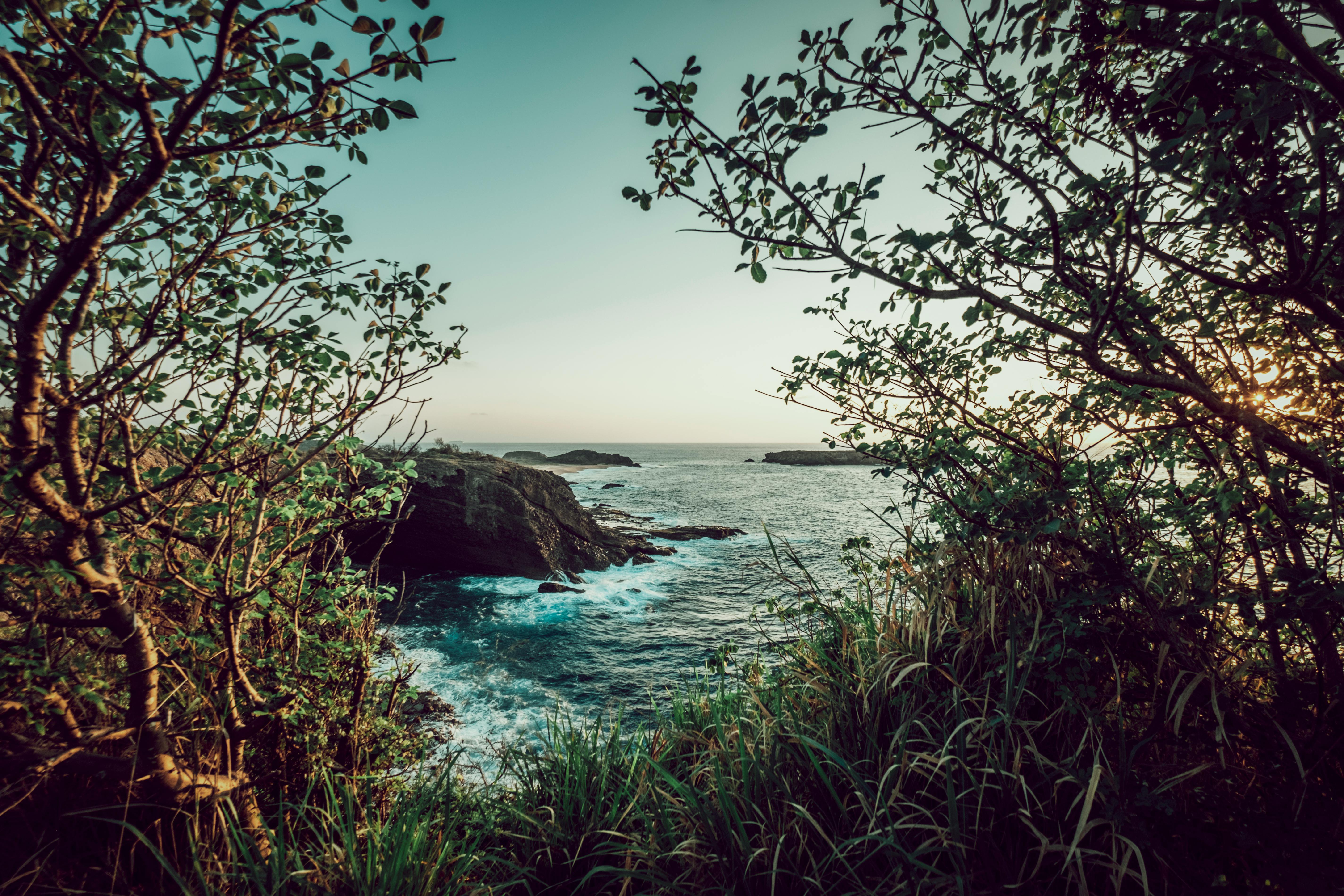 New Jersey Department of Environmental Protection | Sea Level Rise — Photo by Ludvig Hedenborg on Pexels