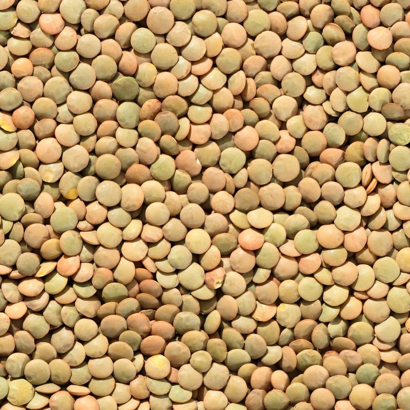 Slow Cooker Green Lentils with Mushrooms, Leeks and Thyme