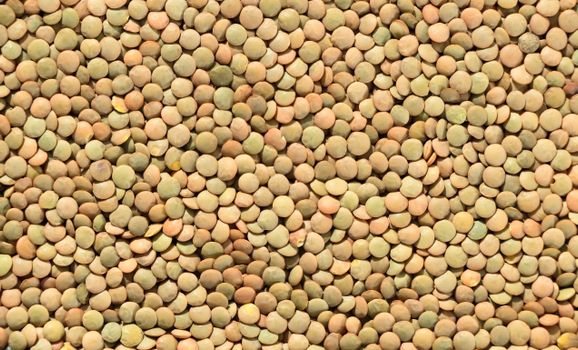 High-resolution image showing a textured background of green lentils in detail.